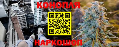 стафф Пыть-Ях