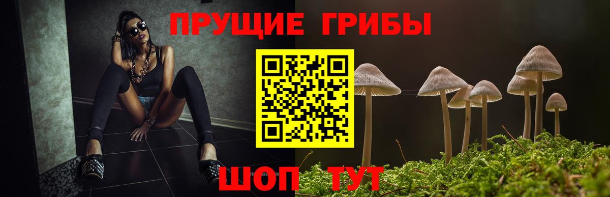 Первоуральск  Галлюциногенные грибы Cubensis  Вход с VPN 